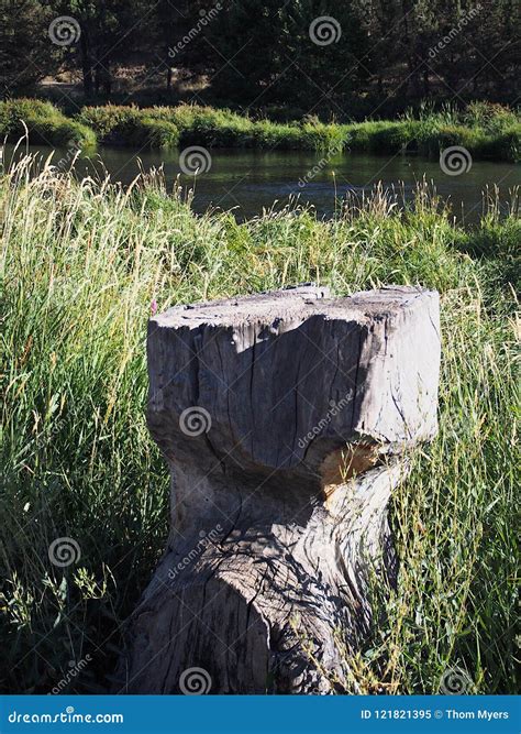 Deschutes River at Cline Falls Stock Image - Image of deschutes, park ...