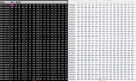 Forensic Shellcode 的图像结果