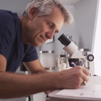 Image result for Neuroscience Degree Programs