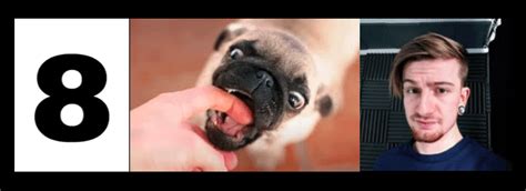 8 Bitryan Ghost 的图像结果