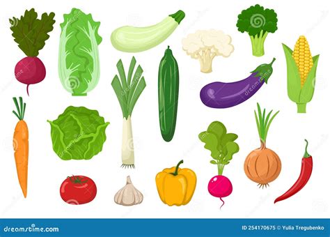 Large Set of Vegetables Isolated on a White Background. Flat Style ...