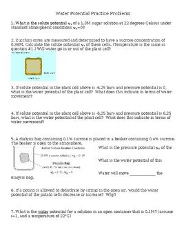Water Potential Practice Problems 的图像结果