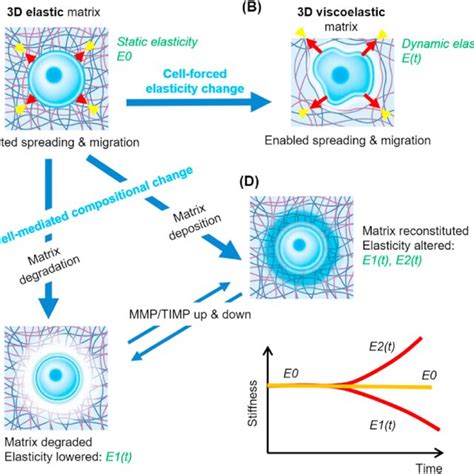 Image result for Dynamic Cell Progress