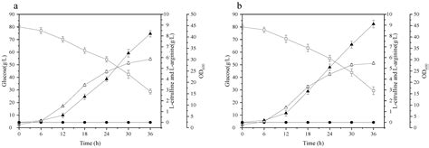 Optimization of L-Citrulline Operon in Corynebacterium glutamicum for L ...