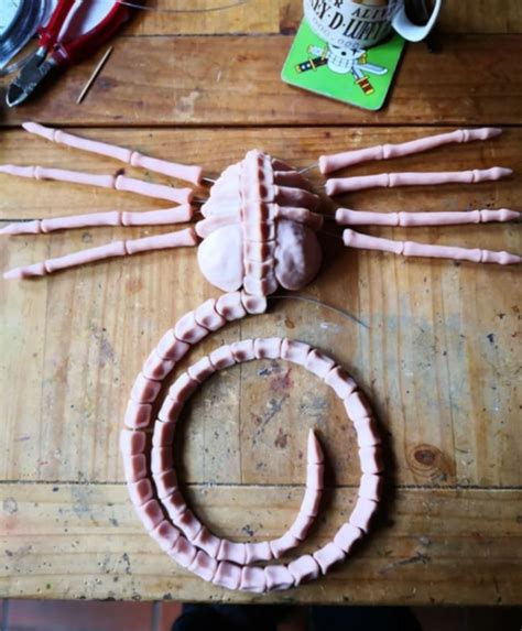Woman's Protective "Alien" Facehugger Mask Goes Viral (12 Pics)