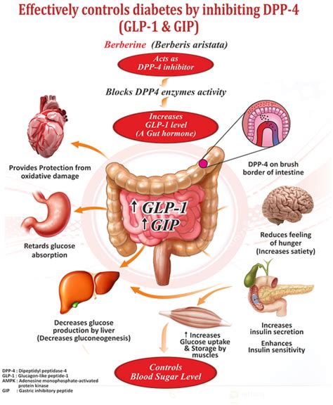 How is BGR-34 works? | AIMIL herbal products