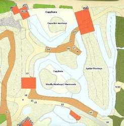 ZooLex Exhibit - Amazonia - Monkey Islands