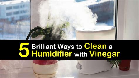 Image result for Using Vinegar to Clean Humidifier