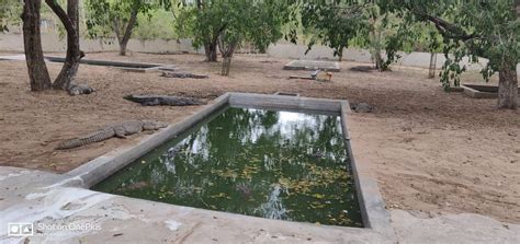 AMARAVATHI DAM - All You Need to Know BEFORE You Go (with Photos ...