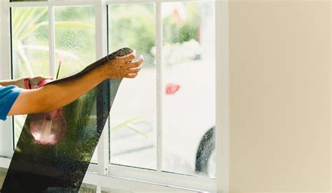 Window Tinting Secrets 的图像结果