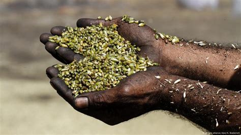 Image result for Humankind Seeds