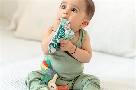 When Should You Start Introducing Solid Food to Your Baby