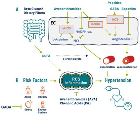 Narrative Review on the Effects of Oat and Sprouted Oat Components on ...