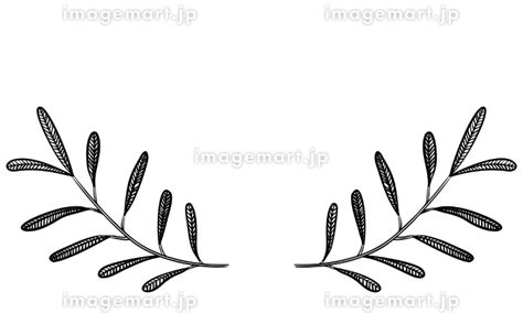 Image result for Java Sea Fish