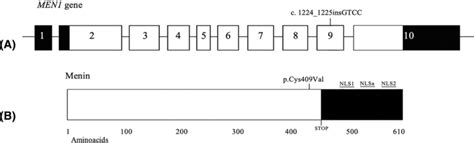 Image result for Multithreading Interview Questions in Python Ppt Presentation