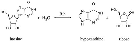 Ribonucleoside Hydrolases–Structure, Functions, Physiological Role and ...