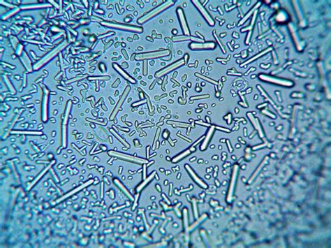 Image result for Prototype Pattern Example