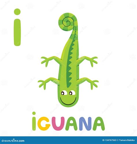 I Está Para La Iguana Letra I Iguana, Ejemplo Lindo Alfabeto Animal Stock de ilustración ...