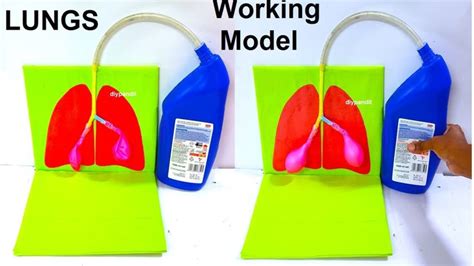 Image result for Model Using Waste Material