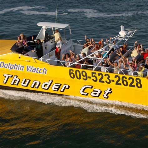THUNDERCAT DOLPHIN WATCH (2025) All You Need to Know BEFORE You Go ...