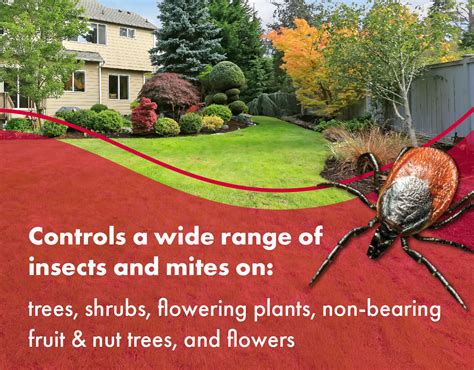 How to Control Insect 的图像结果