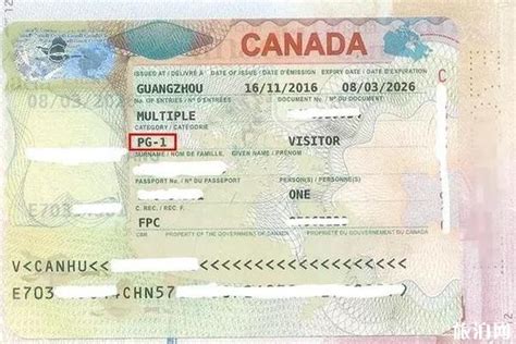 加拿大超级签证通过率_旅泊网