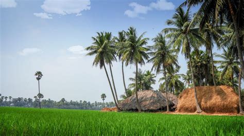 Rajahmundry Tourism | Places to visit | Incredible India