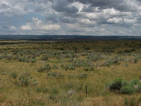 Elevation of Dove Creek, CO, USA - Topographic Map - Altitude Map