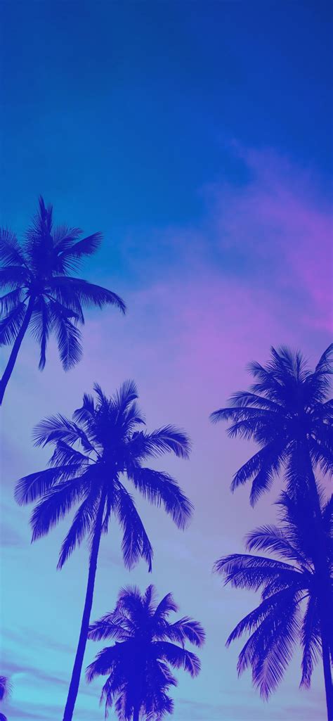 35 Summer Wallpapers for iPhone (2026)