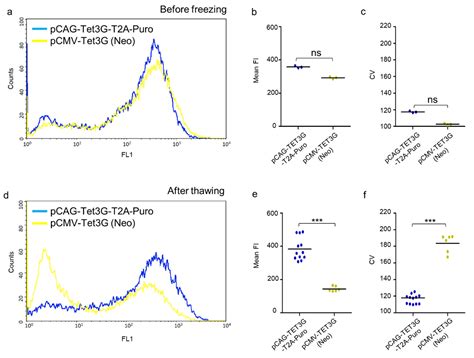 An Improved Vector System for Homogeneous and Stable Gene Regulation