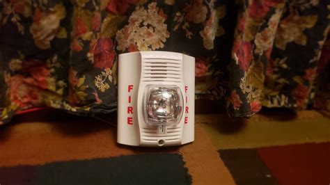 System Sensor P2wl 的图像结果