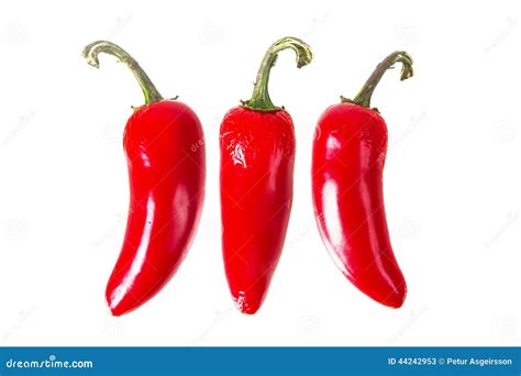Red Jalapeno Pepper