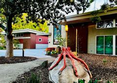 Washington Park | Parks and Facilities Directory | Sunnyvale, CA