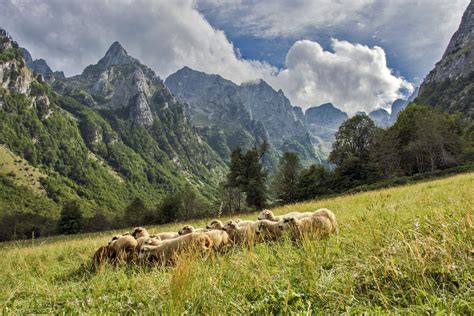 Geographical Characteristics. Examples 的图像结果