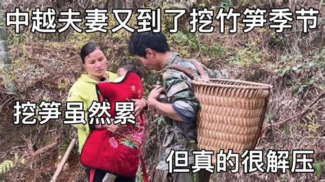 越南媳妇又到挖竹笋季节，挖竹笋虽然累，但真的很解下，不信你试【越南笨笨姐】 - YouTube