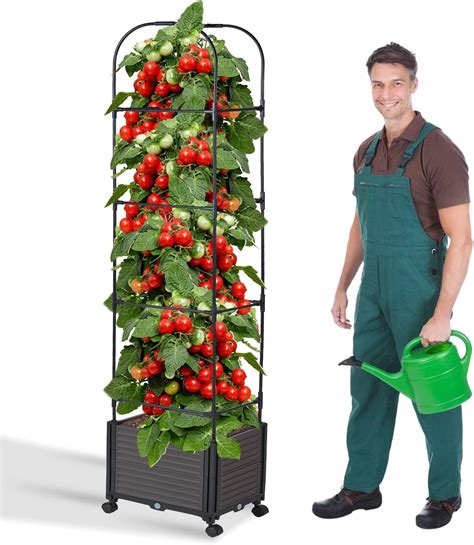 Amazon Tomato Planters at James Goldsbrough blog