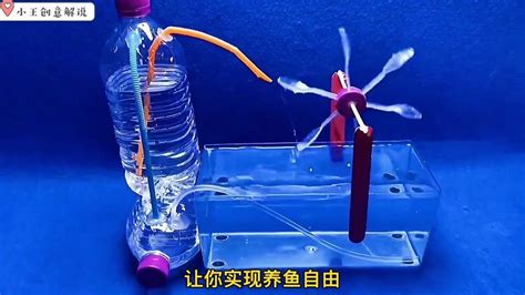 用塑料瓶和吸管就能制作自动水循环鱼缸！不用电就能给鱼持续供氧_腾讯视频