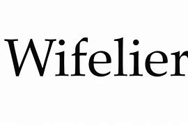 Image result for wifelier