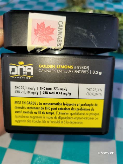 DNA Genetics - DNA Golden Lemons (Kosher Kush x Lemon Skunk) | 27.3%THC ...