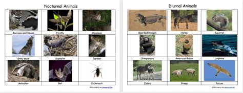 Image result for What Is an Embedded System Computer Science