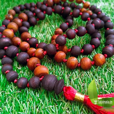 108+1 Beads Original Tulsi Japa Mala Big to Small Beads - Tulsi Mala