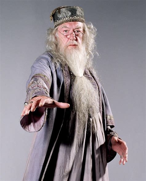 Pin by Matthieu Philippe Devito on Harry Potter world | Harry potter ...