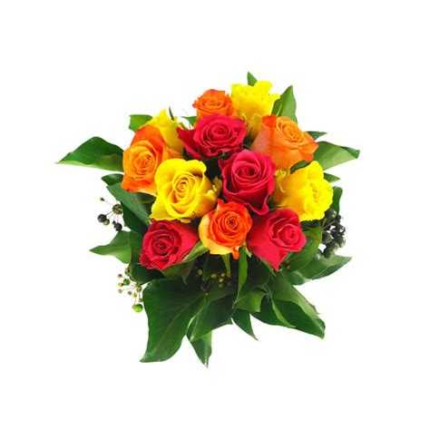 Rose Tree Splice 的图像结果