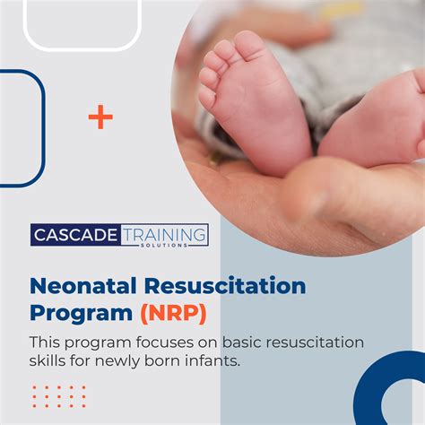 Neonatal Resuscitation Program (NRP) | Neonatal, Cpr classes, Workplace ...
