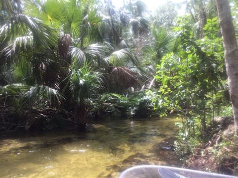 Get Up And Go Kayaking - Rock Springs (Apopka) - All You Need to Know ...