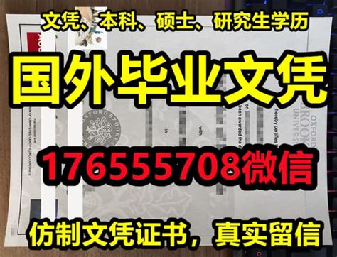 谁说学历不重要？大数据为您揭秘500强企业招聘标准_发展_毕业生_需求