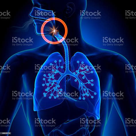 Inspire sleep apnea treatment ,implant cost , pros and cons