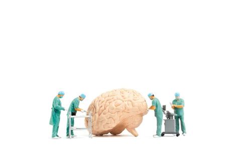 Image result for Multitasking Brain Vector