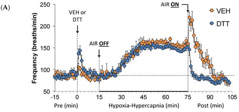 The Reducing Agent Dithiothreitol Modulates the Ventilatory Responses ...