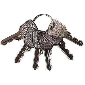 GAOHOU 6Pcs 4241A Lift Key 4241A Ignition Keys Compatible with Haulotte ...